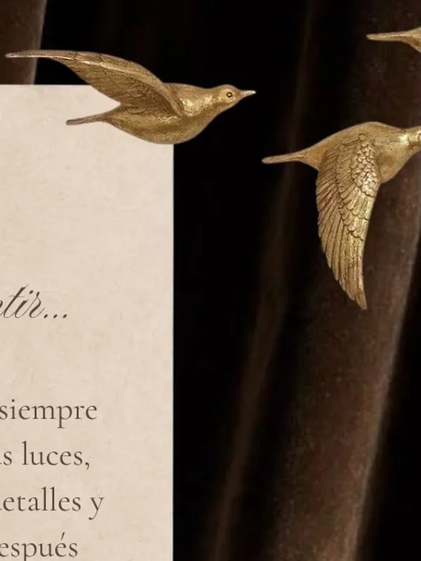 Detalle del set